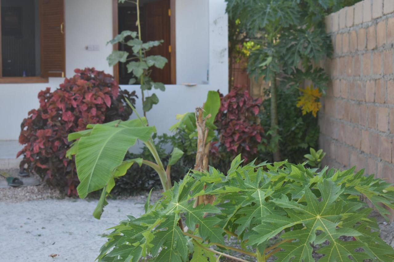 New Arisen Bungalows Bwejuu Eksteriør billede