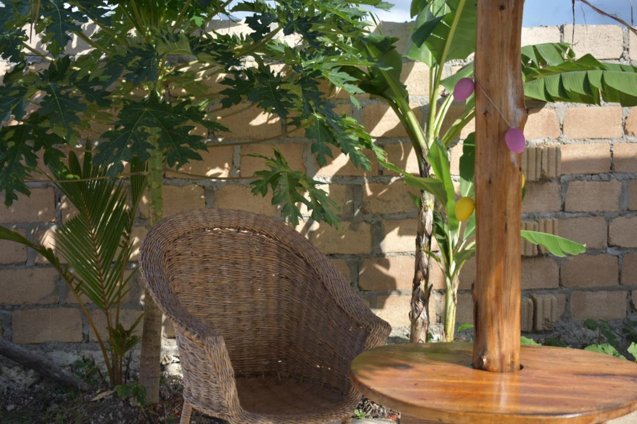 New Arisen Bungalows Bwejuu Eksteriør billede