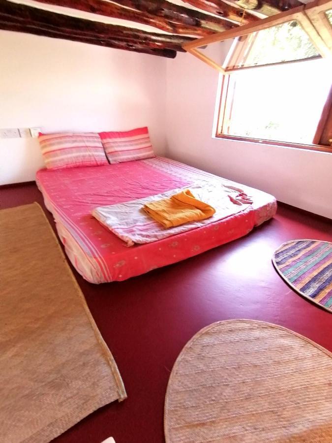New Arisen Bungalows Bwejuu Eksteriør billede